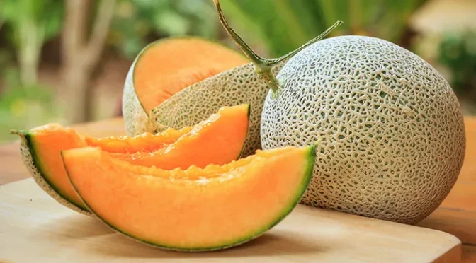 Fakta Menarik Buah Melon Yang Harus Di Ketahui